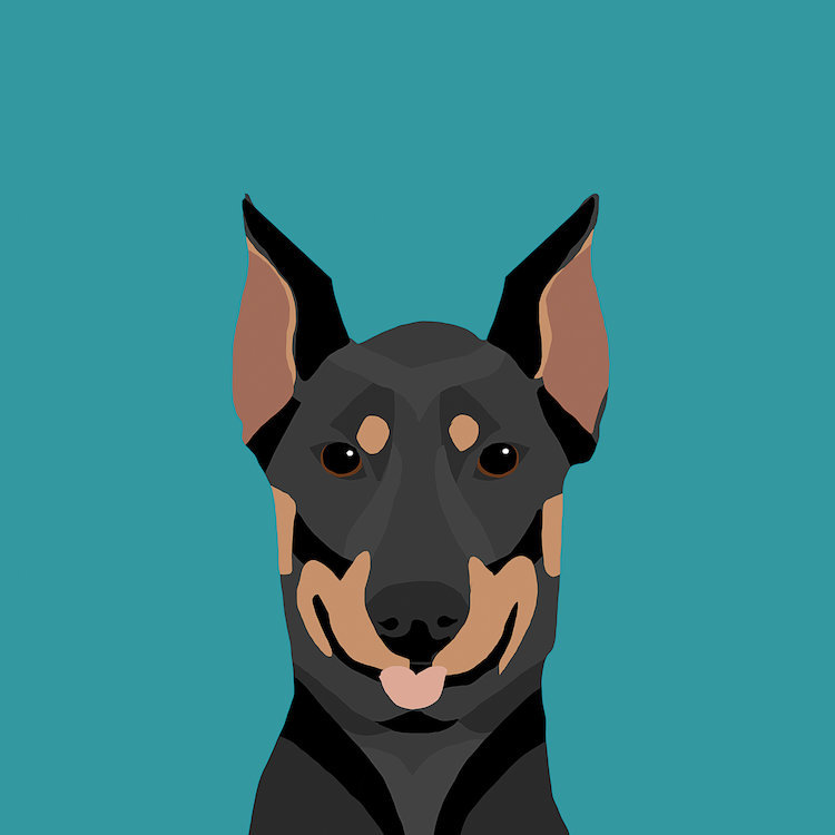 Doberman pinscher, impression sur toile tendue, H 16 po x l 16 po x P 1 po, Papier d'art encadré noir, Blanc