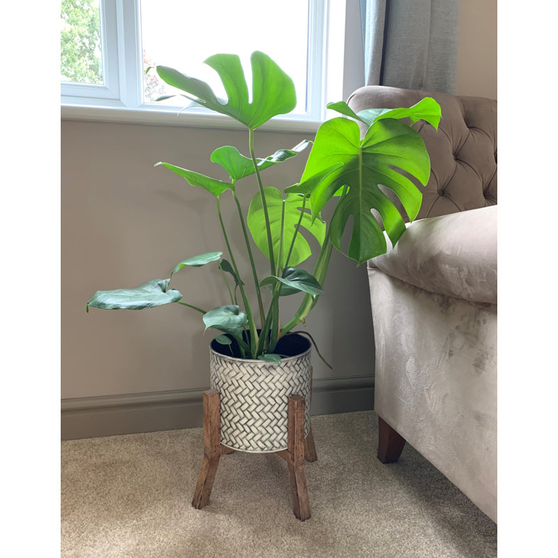 Zepeda Pot Planter