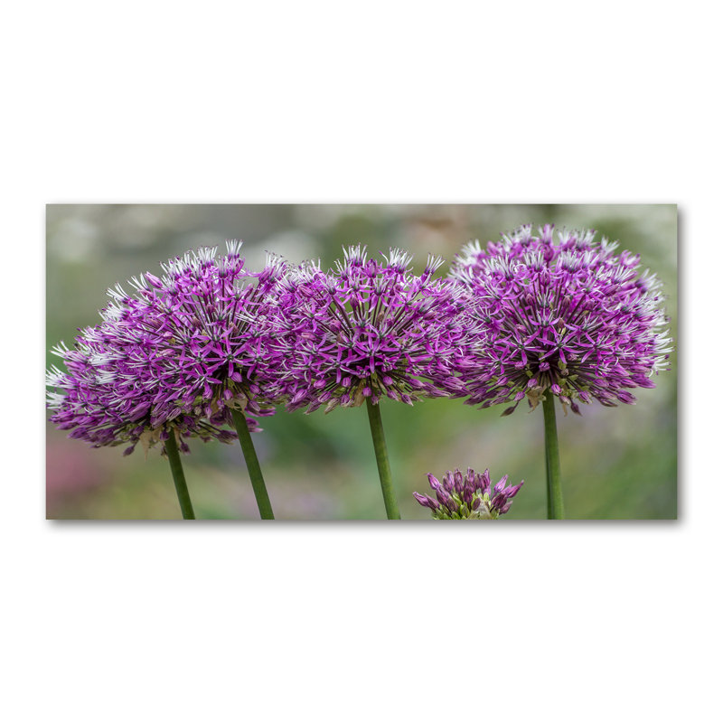 Lovetro 50cm W x 100cm L Glass Peel and Stick Panel
