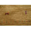 Tapis décoratif tribal animaux 3 x 5 Gabbeh