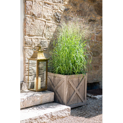 Romulus Wood Planter Box