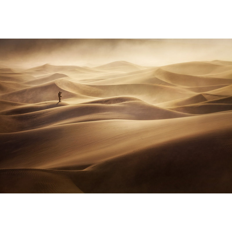 Wrapped Canvas Print, 50.8 cm H x 76.2 cm W