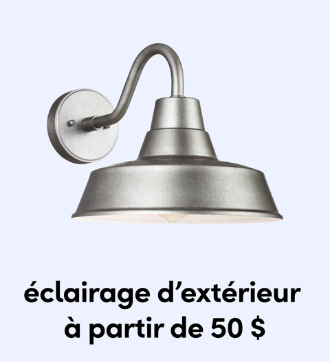Un luminaire de grange à col de cygne en argent brossé pour montage mural extérieur à partir de 50 $.