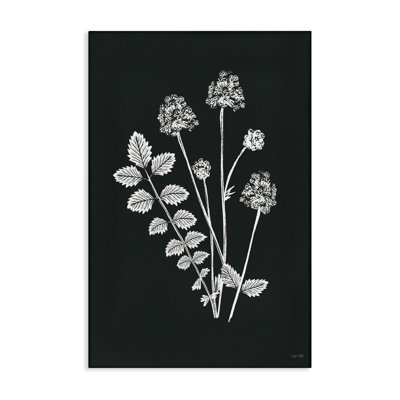 Impression sur toile Herb Bunches Impression par House Fenway