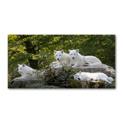 White Wolves Rock - Wrapped Canvas Print