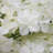 Hydrangea Wall Panel Arrangement-643892284-541394238