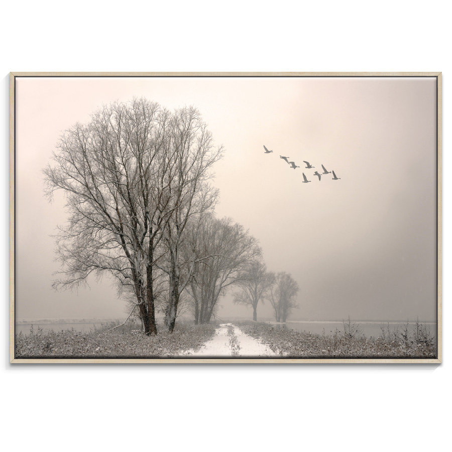 'Winterlight' Art Print onÂ Canvas