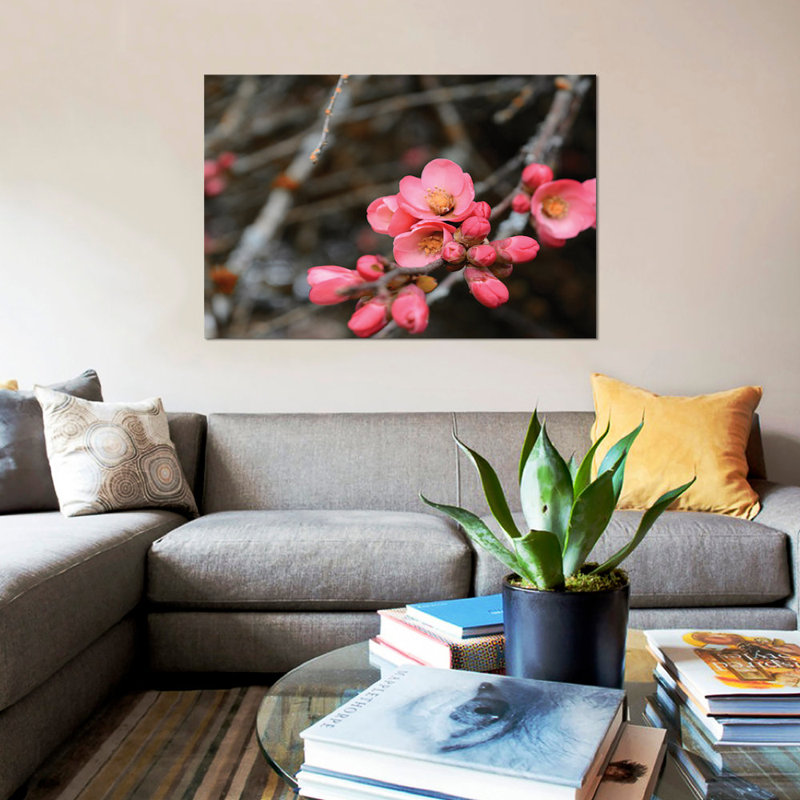 «Crabapple Tree Blossoms» par Savanah Plank - reproduction de photo sur toile tendue, H 18 po x l 26 po x P 1,5 po