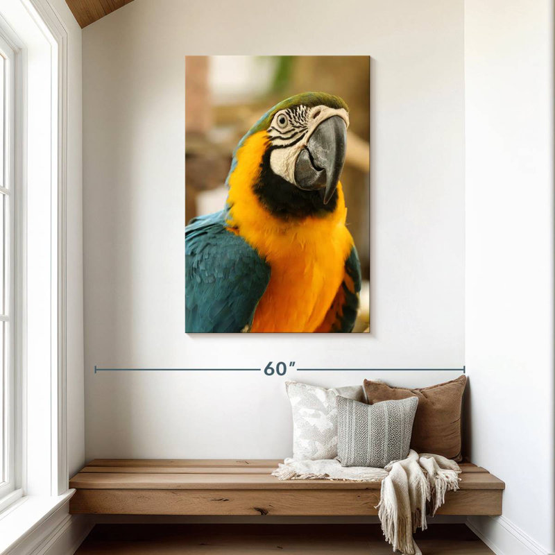 Brampt Exotic Macaw, 45" H x 30" W