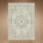 Tapis oriental performance Roehit-1848268764-1865515414