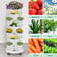 Pot à fleurs vertical à 7 étages avec poteau de soutien Strawberry-1693659596