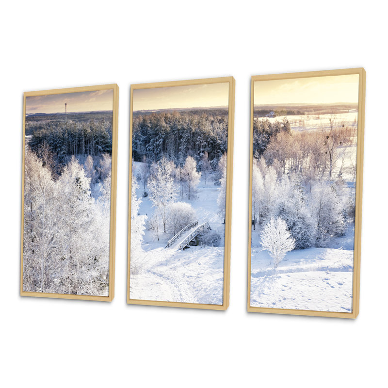 «Beautiful Winter Panorama - Landscape», ensemble de 3 toiles encadrées, Brun, H 20 po x l 36 po x P 1 po