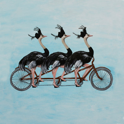 " Ostriches On Bicycle " by Coco de Paris Mixed Media Print