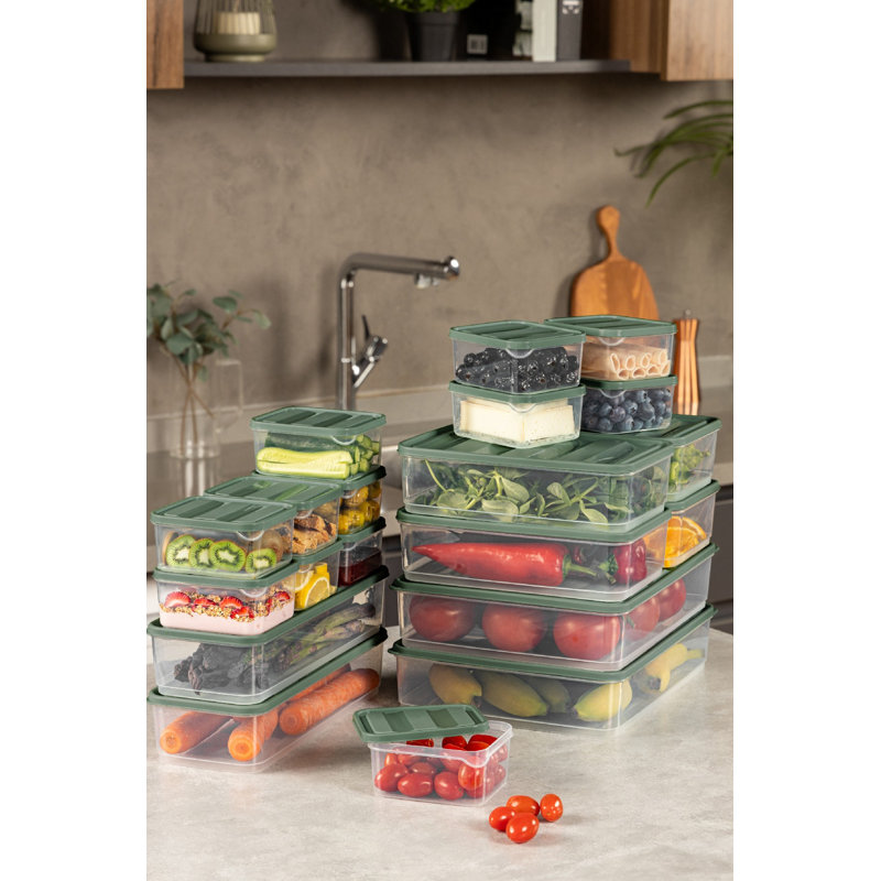 Ensemble de boîtes de rangement polyvalentes vertes (19 pièces), 11 x 12 x 3 pouces (2), 9 x 6 x 3 pouces (4), 4 x 4 x 2 pouces (12), 9 x 11,5 x 2,5 pouces (1) | 100% plastique, va au lave-vaisselle | Idéal pour organiser vos essentiels de cuisine et de maison