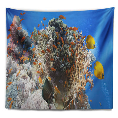 Photographie coral scene panorama tapisserie