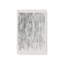 «Veil of Motion», ensemble de 2-290026005-290026002