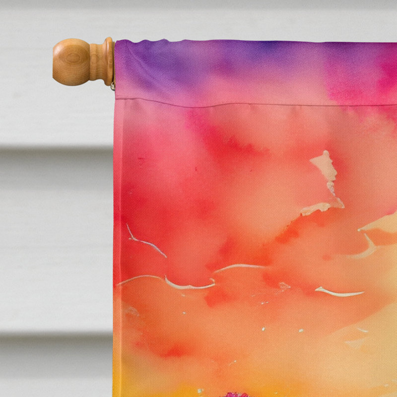 Double Sided 40'' H x 28'' W Polyester House Flag