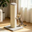 75.5 cm H Cat Tree / Condo