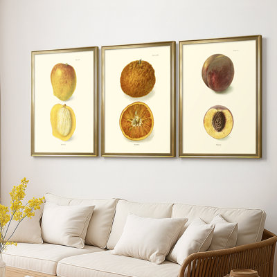 Mango  -Custom Framed  Wrapped Gallery Canvas - 3 Pieces