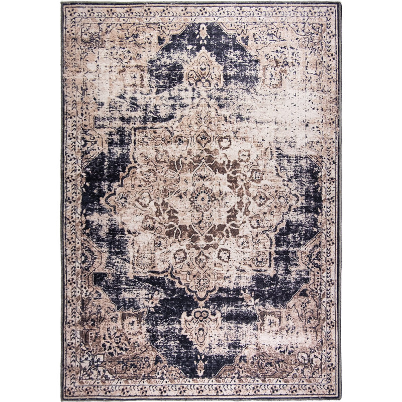 Jessieca Washable Oriental Indoor / Outdoor Rug, Rectangle 8' x 10'