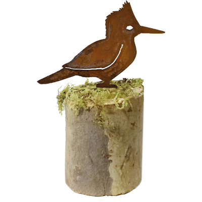 Art de jardin en métal kingfisher