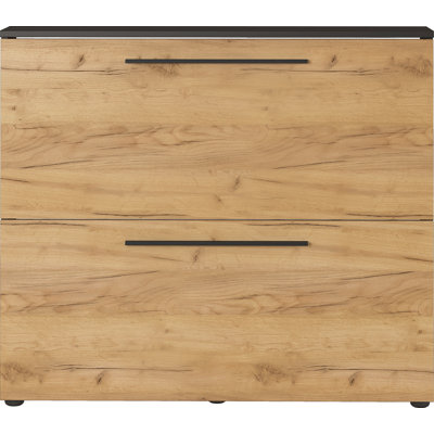 Wildomar Shoe Storage Cabinet