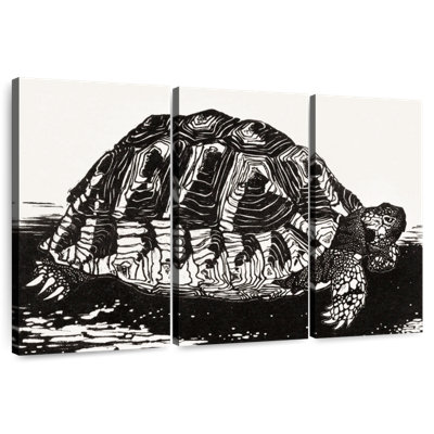Brampt la tortue