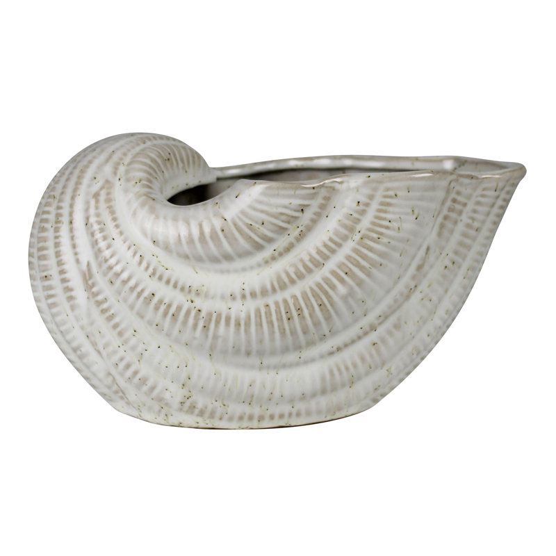 Pot à fleurs Nautilus, céramique, 4 po