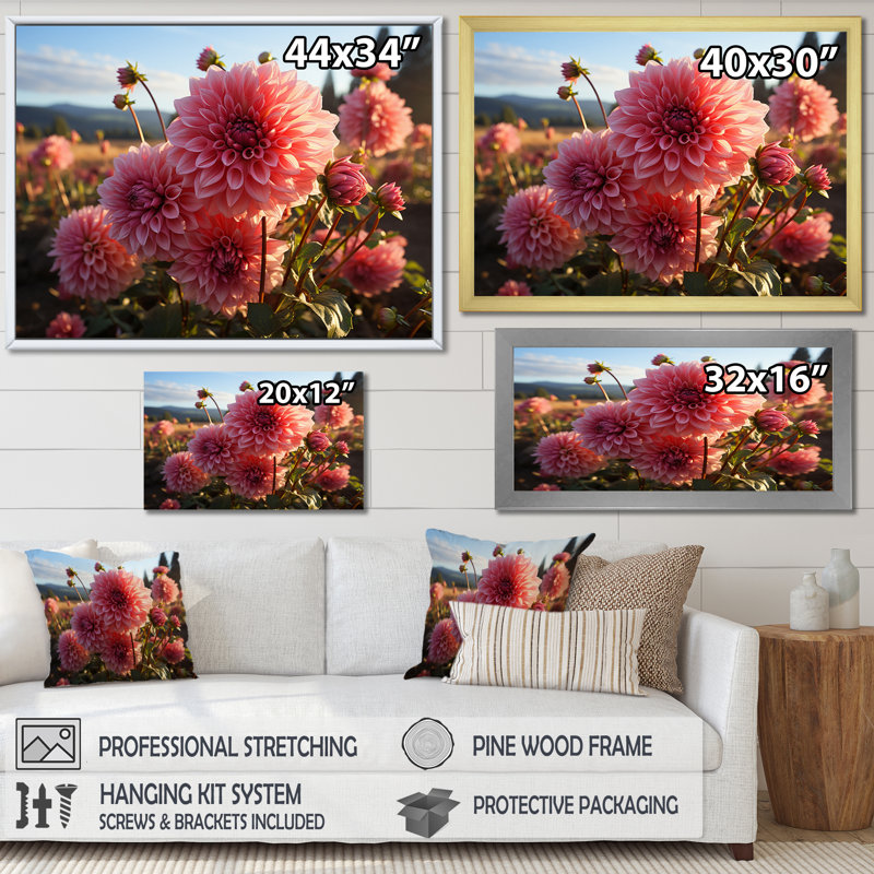 Dahlia Field Sunrise II - impressions murales florales, Cadre simple blanc, H 12 po x l 20 po x P 1 po
