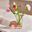 Anemone Vase, Medium-74515524