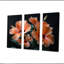 Hibiscus rose et noir-107190020-107190022