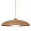 Delano 1 - Light Pendant