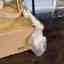 Photos des clients 2 de 4