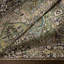 Leon Oriental Area Rug-1895720781