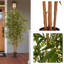 Arbre de bambou artificiel Pure Garden - plante artificielle de 6 pi avec feuilles et pot réglables - plantes artificielles pour la maison, le restaurant ou le bureau