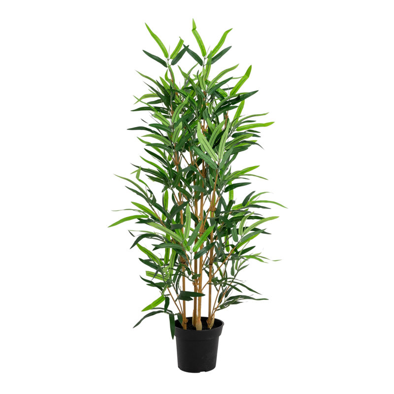 95cm Plant
