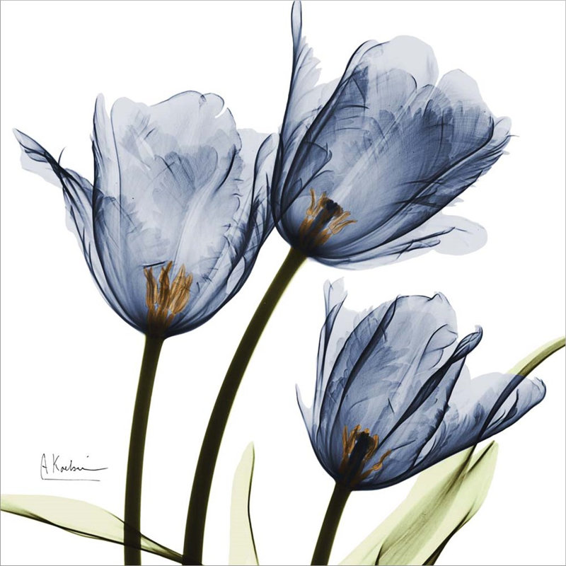 Décoration murale tulipes