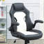 Chaise de bureau rembourrée 2pc