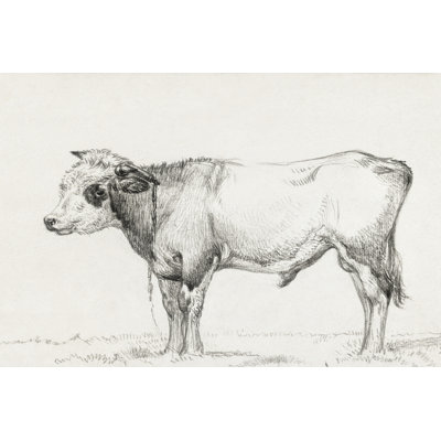 Reproduction d'art sur toile Keairah Bernard's Bull Renderings III