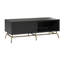 Anastaisha Abstract Coffee Table with Storage
