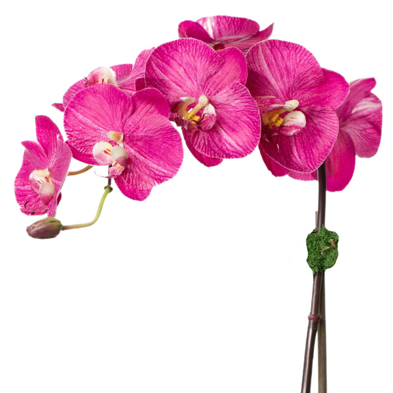 Orchid Floral Arrangements in Planter, Black