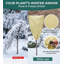 12‑Pack Drawstring Plant Fleece Frost Protection Jackets, 39.4" x 23.6" Green Reusable Outdoor Plant Covers, Winter Garden Plant Protection Against Frost, Cold and Insect Damage-137446186