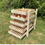 Whisnant 60cm W Solid Wood Shelving Unit