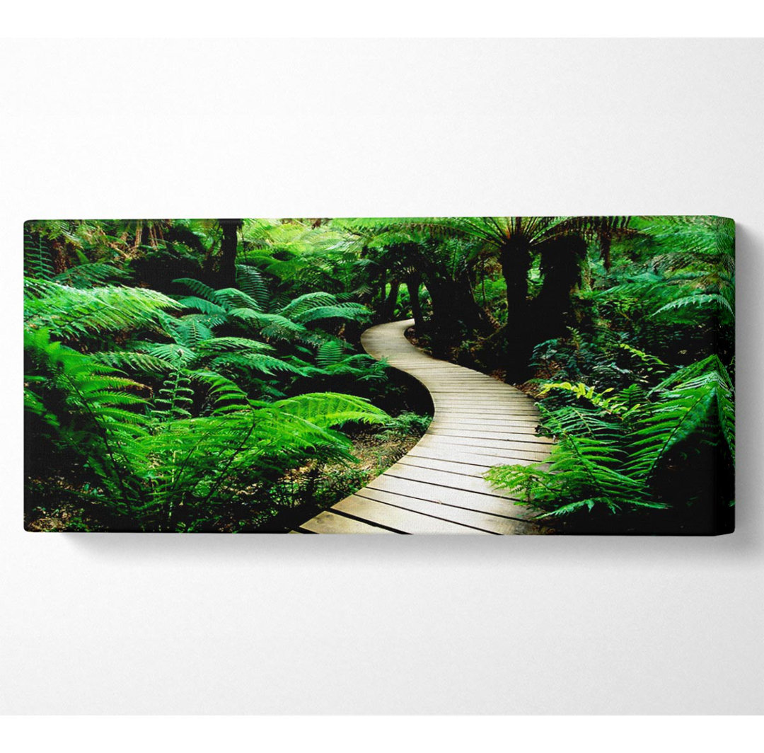 Rainforest Walk Panorama-Leinwand