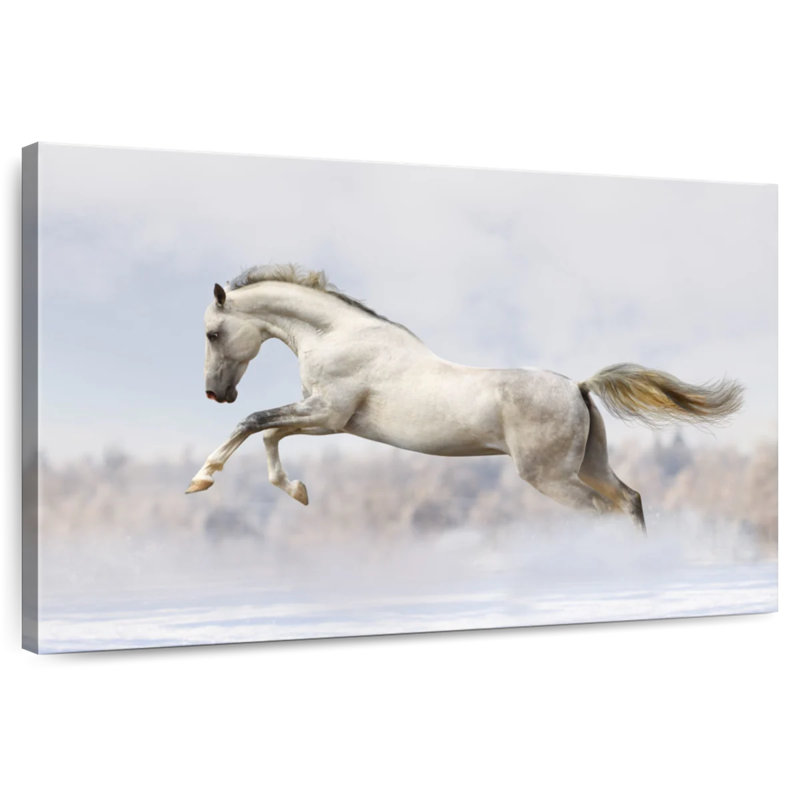 Brampt Jumping White Stallion, 24" H x 36" W