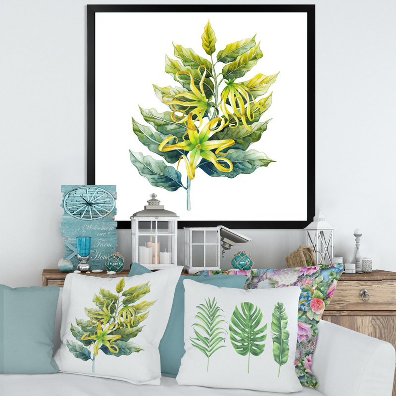 «Ylang Ylang Flower», impression sur toile, H 36 po x l 36 po x 1,5 po, Cadre photo noir