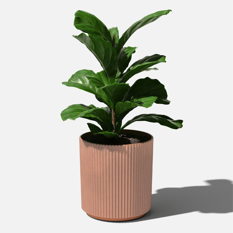Pot à fleurs rond Demi Series, 1, H 19,75 po x l 18,5 po x P 18,5 po, Terracotta