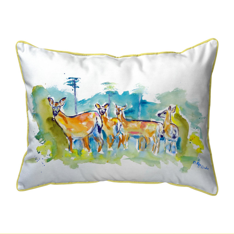 Outdoor Reversible Throw Pillow, 20'' x 24''