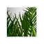 Palmera Faux Plant
