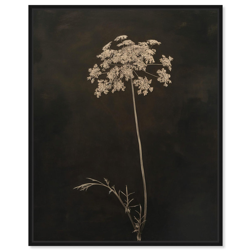 Starlit Bloomfall Canvas Gothic Botanicals par Art Remedy, H 21 po x l 17 po, Cadre flottant noir